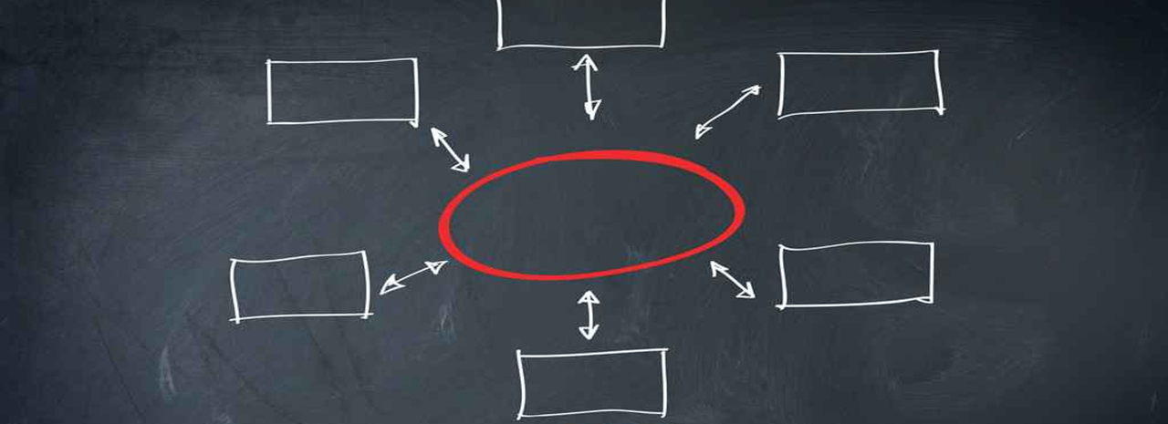 Organisation & Standorte